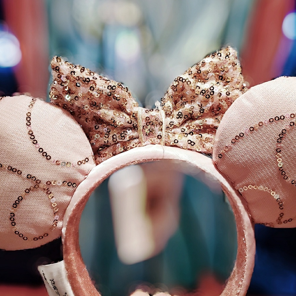 DISNEY PARKS BIBBIDI BOBBIDI *BEST DAY EVER* EARS - Picture 6 of 7